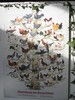 ausstellung-nov 049