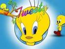 tweety 1 (2)