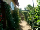 SANY4569