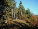 GROTA ZMEILOR 24.10.2010 015