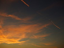 DSCF6186