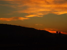 DSCF6181
