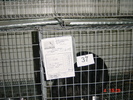 DSC01505