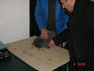DSC01506