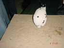 DSC01517