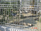 DSC01519