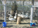 DSC01521