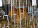 DSC01530