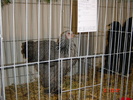 DSC01531