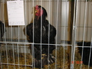 DSC01532