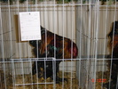 DSC01533
