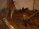DSC01538