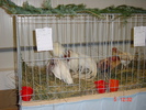 DSC01539