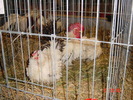 DSC01540