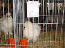 DSC01550