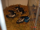 DSC01551