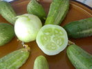 Castraveti