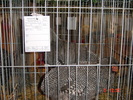 DSC01555