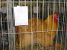DSC01557