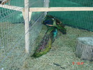 DSC01561