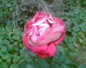 Imag011