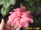 Picture 002