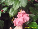 Picture 001
