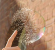 popping-soap-bubble
