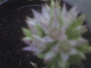 11-07-09_2035