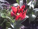 20-04-08_1314