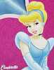 Cinderella-BlueDress-BoxPic