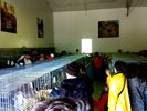 Sector iepuri de rasa