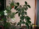 SANY3955