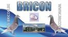 bricon_olymp[1]