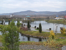 DSCN1337