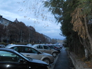 DSCN1354