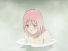 sakura226