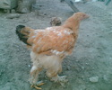 Imag015