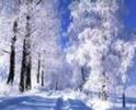 arad
