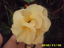 Picture 002
