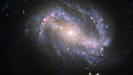 ngc-6217