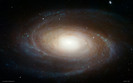 m81