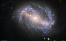 ngc-6217