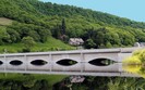 fgdgfd7