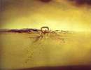 Salvador Dali - Masina fantoma