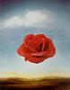 Salvador Dali - Meditative Rose