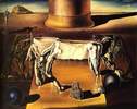 Salvador Dali - paranoia femeia cal