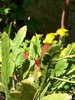 100_1068
