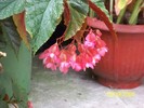 100_1651