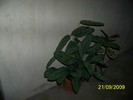 100_1759
